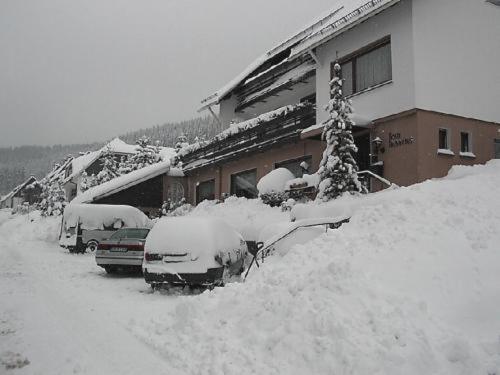 Haus Hubertus Winterberg Exterior foto